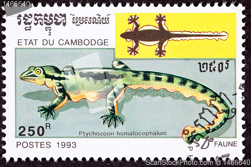 Image of Canceled Cambodian Postage Stamp Kuhl's Flying Gecko, Ptychozoon