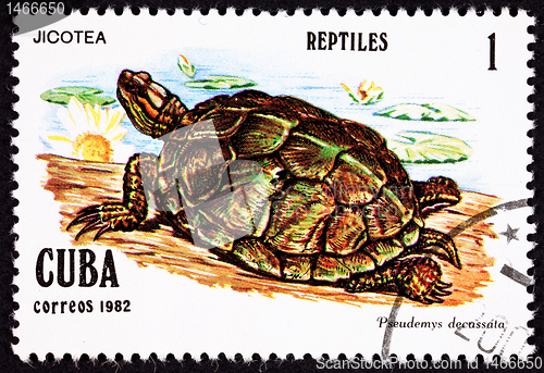 Image of Postage Stamp, Turtle, Jicotea, North Antillean Slider, Trachemy