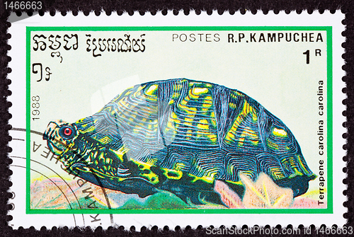 Image of Canceled Cambodian Postage Stamp Eastern Box Turtle Terrapene Ca