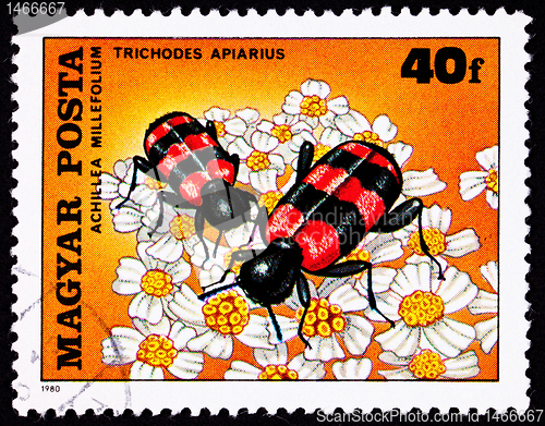 Image of Hungarian Postage Stamp Bee Beetle Trichodes Apiarius,Yarrow Ach