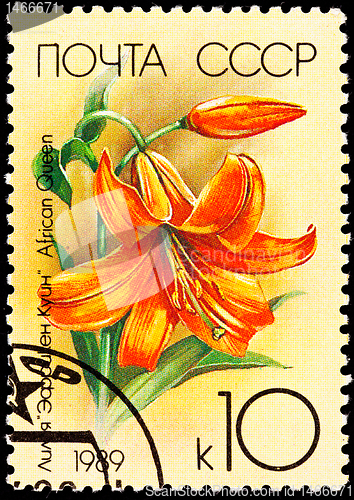 Image of Canceled Soviet Russia Postage Stamp Orange Lily Flower, African