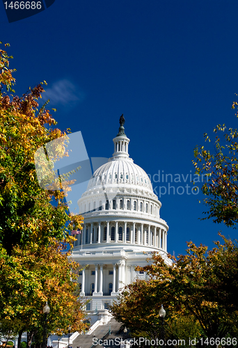 Image of U.S. Capital Building Washington DC Autumn Yellow