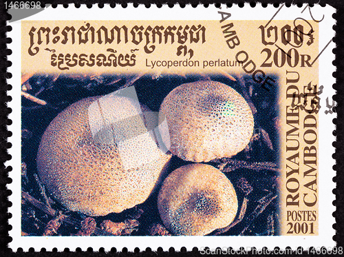 Image of Canceled Cambodian Postage Stamp Clump Common Puffball Mushroom 