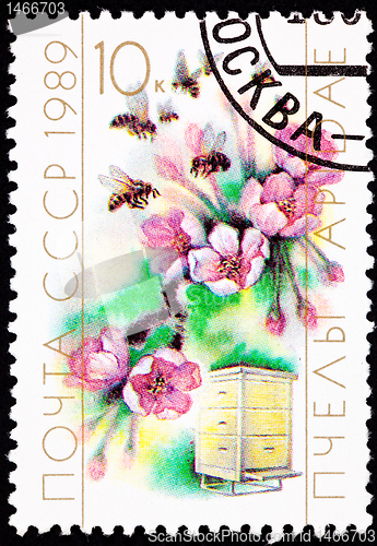Image of Canceled Soviet Postage Stamp Cherry Blossom Bee Hive Cultivatio