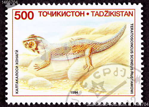 Image of Canceled Tajikistan Postage Stamp Common Wonder Gecko, Lizard, T