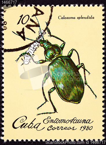 Image of Canceled Cuban Postage Stamp Metallic Green Beetle Calosoma Sple