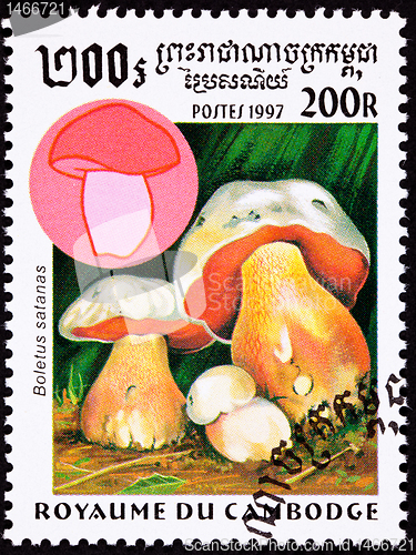 Image of Canceled Cambodian Postage Stamp Satan's Mushroom Boletus Satana