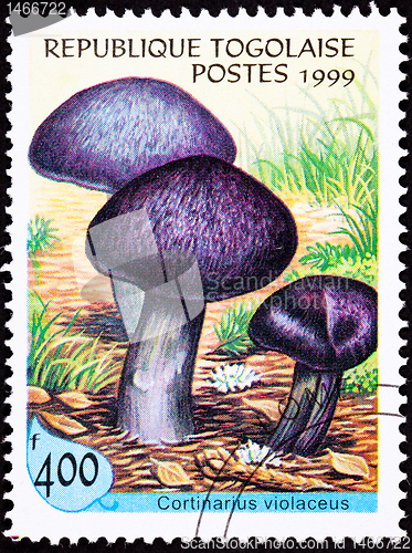 Image of Canceled Togo Postage Stamp Fungus Violet Webcap Mushroom Cortin