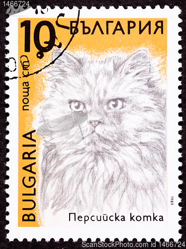 Image of Canceled Bulgarian Postage Stamp Fuzzy Longhaired Persian Cat Br