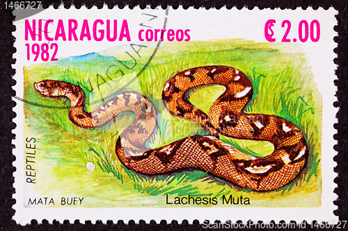 Image of Canceled Nicaraguan Postage Stamp Bushmaster Snake Venomous Pitv