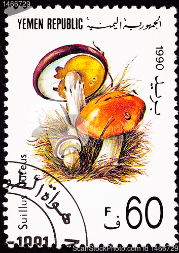 Image of Canceled Yemeni Postage Stamp Clump Slippery Jack Mushroom Suill