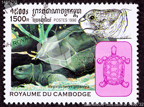 Image of Canceled Cambodian Postage Stamp Aldabra Giant Tortoise Geochelo