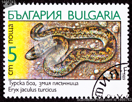 Image of Bulgarian Postage Stamp Javelin Sand Boa Constrictor Snake, Eryx