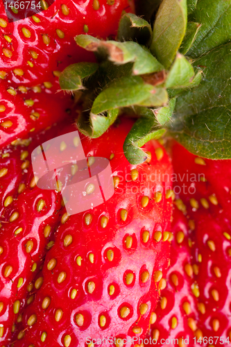 Image of Macro Closeup Full Frame Fresh Red Strawberry