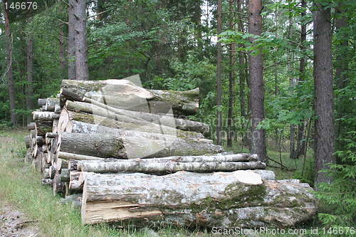 Image of A stack of trees