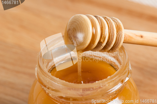 Image of fresh gold honey dipper