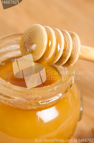 Image of fresh gold honey dipper