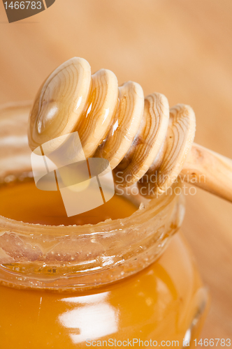 Image of fresh gold honey dipper