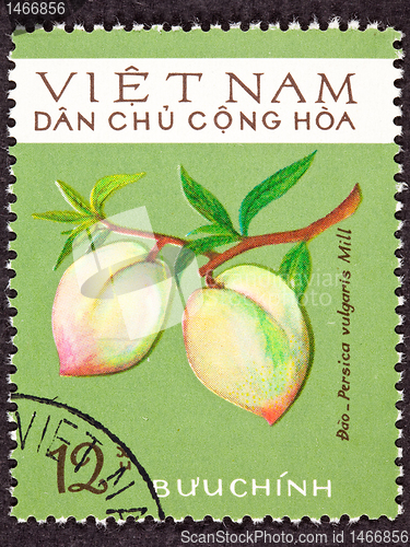 Image of Vietnamese Post Stamp Peach Prunus Persica Branch