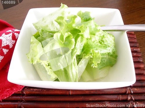Image of Salad of lettuce