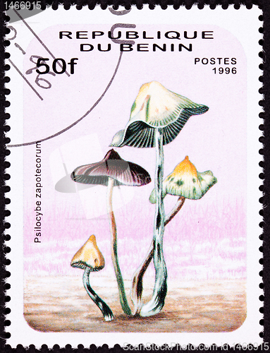 Image of Canceled Benin Postage Stamp Psilocybin, Psychedelic Mushroom Ps