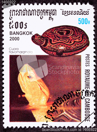 Image of Canceled Cambodian Postage Stamp Chinese Box Turtle, Cuora Flavo