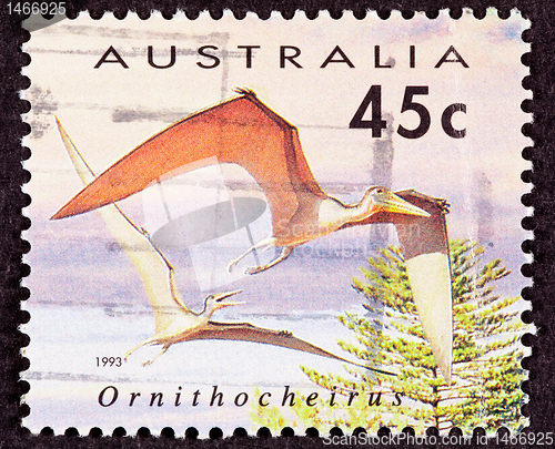 Image of Canceled Australia Australian Postage Stamp Bird-Like Ornithoche
