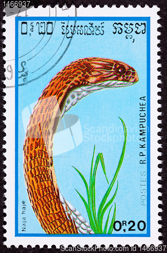 Image of Canceled Cambodian Postage Stamp Copper Colored Egyptian Cobra N