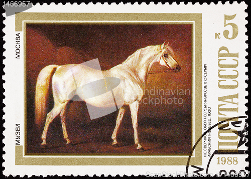 Image of Soviet Russia Post Stamp Painting White Horse Nikolai Sverchkov