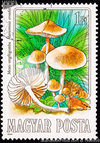 Image of Canceled Hungarian Postage Stamp Edible Mushroom, Scotch Bonnet,