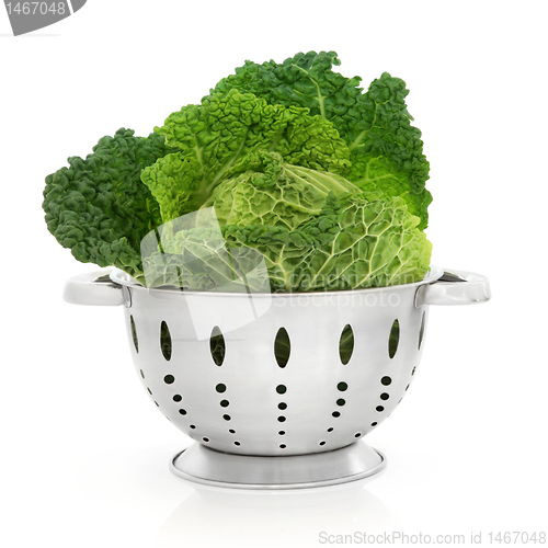 Image of Savoy Cabbage