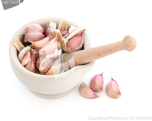Image of Garlic Herb Cloves