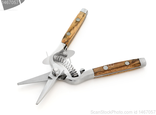 Image of Secateurs