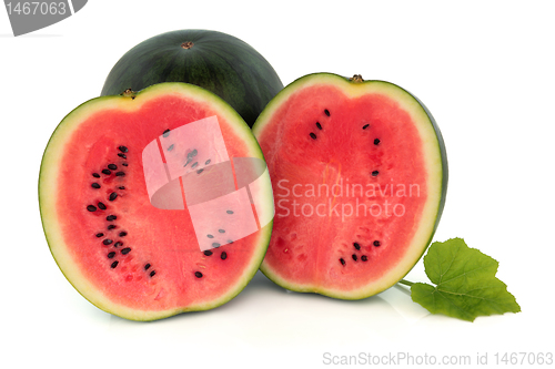 Image of Watermelon Fruit