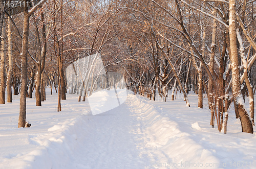 Image of snow park