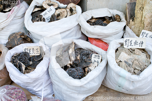 Image of Bags of Tree Fungus Mushrooms, Market, Guangzhou, China