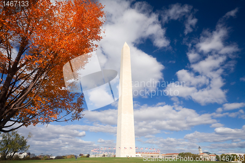 Image of Washington Monument Autumn Framed Leaves Blue Sky