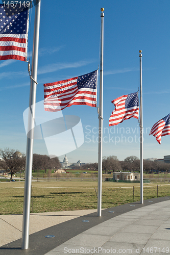 Image of Row American Flags Flying Half Mast Washington DC