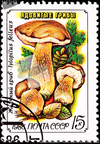 Image of Soviet Russia Postage Stamp Tylopilus Felleus Boletus Felleus