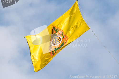 Image of The flag of the KIng of Thailand