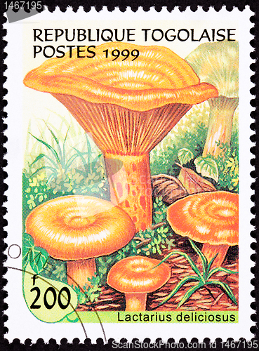 Image of Canceled Togo Postage Stamp Saffron Milk Cap Mushroom Lactarius 