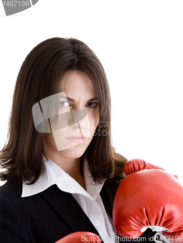 Image of Angry Woman Suit, Boxing Gloves, Isolated White