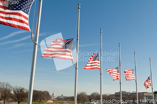 Image of Row American Flags Half Mast Washington DC USA