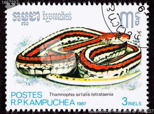 Image of Cambodian Postage Stamp San Francisco Garter Snake Thamnophis Si