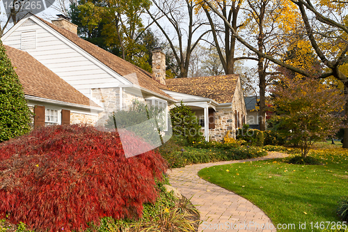 Image of House Philadelphia Yellow Fall Autumn Leaves Tree