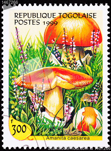 Image of Canceled Togo Postage Stamp Caesar's Mushroom, Amanita Caesarea 