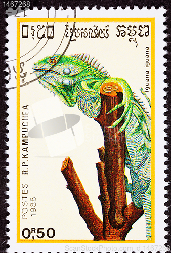 Image of Canceled Cambodian Postage Stamp Green Lizard, Iguana Gripping T