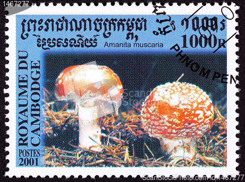 Image of Canceled Cambodian Postage Stamp Toadstool Fly Agaric mushroom, 