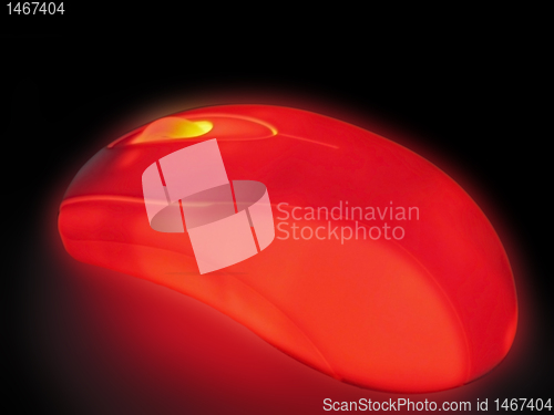 Image of  shining mouse