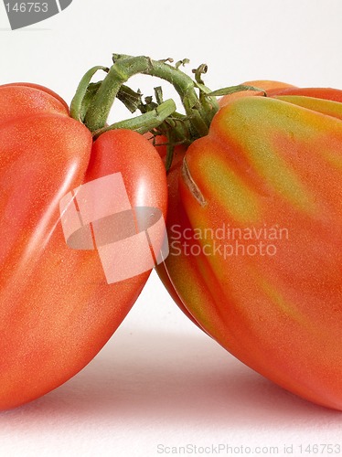 Image of Beef tomatoes close-up